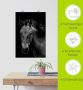 Artland Poster Weide met wilde bloemen blauwe hemel Wild paard als artprint van aluminium artprint op linnen muursticker of poster in verschillende maten - Thumbnail 4