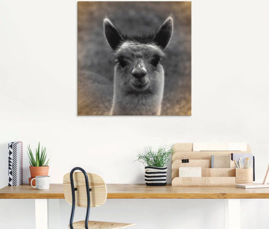 Artland Print op glas Alpaca blik in verschillende maten