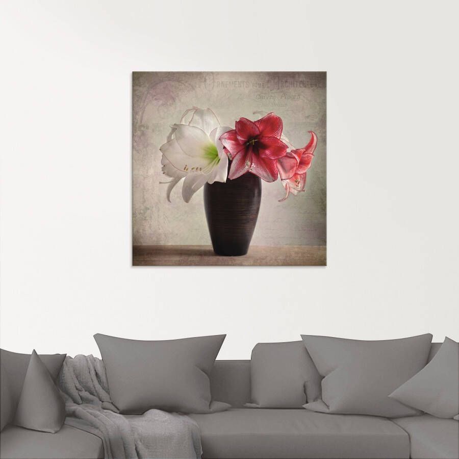 Artland Print op glas Amaryllis vintage I in verschillende maten