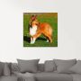 Artland Print op glas Amerikaanse collie in verschillende maten - Thumbnail 2