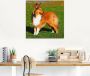 Artland Print op glas Amerikaanse collie in verschillende maten - Thumbnail 3