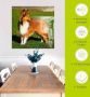 Artland Print op glas Amerikaanse collie in verschillende maten - Thumbnail 6