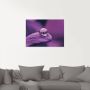 Artland Print op glas Amethist in verschillende maten - Thumbnail 2