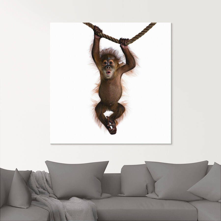 Artland Print op glas Baby Sumatra orang oetan hangt aan het touw