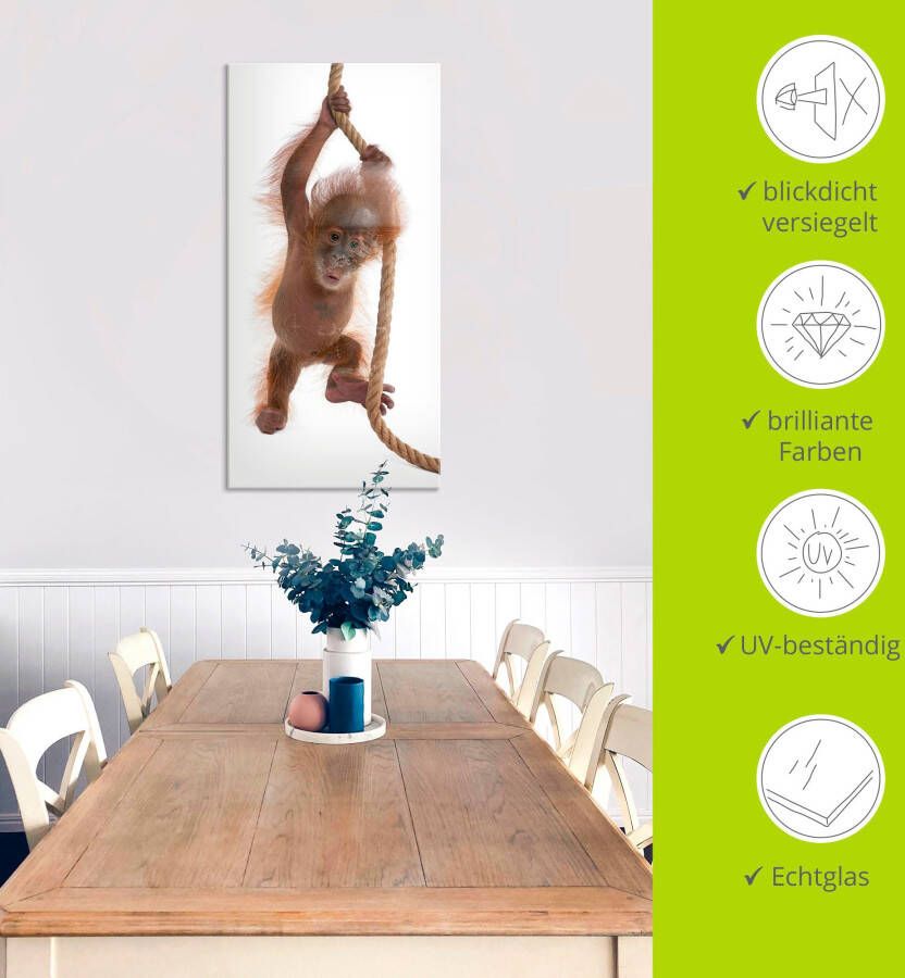 Artland Print op glas Baby orang oetan hangt aan het touw I