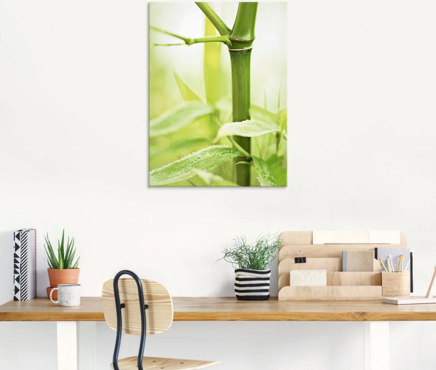 Artland Print op glas Bamboe tak in verschillende maten - Foto 2