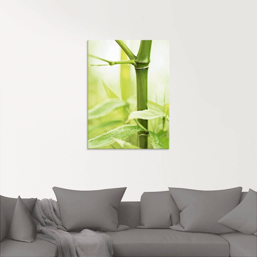 Artland Print op glas Bamboe tak in verschillende maten - Foto 3