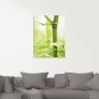 Artland Print op glas Bamboe tak in verschillende maten - Thumbnail 3