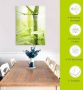 Artland Print op glas Bamboe tak in verschillende maten - Thumbnail 5