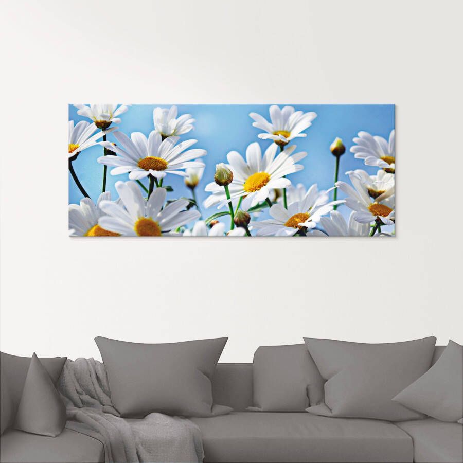 Artland Print op glas Bloemen margrieten in verschillende maten