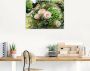 Artland Print op glas Bos bloemen in verschillende maten - Thumbnail 3