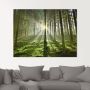 Artland Print op glas Bos in tegenlicht in verschillende maten - Thumbnail 2