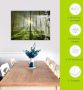 Artland Print op glas Bos in tegenlicht in verschillende maten - Thumbnail 5