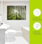 Artland Print op glas Bos in tegenlicht in verschillende maten - Thumbnail 4