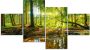 Artland Print op glas Bos met beek in verschillende maten - Thumbnail 2