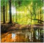 Artland Print op glas Bos met beek in verschillende maten - Thumbnail 2