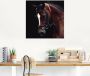 Artland Print op glas Dressuur paard in verschillende maten - Thumbnail 3