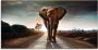 Artland Print op glas Een olifant loopt op de weg - Thumbnail 2