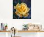 Artland Print op glas Gele roos in verschillende maten - Thumbnail 2