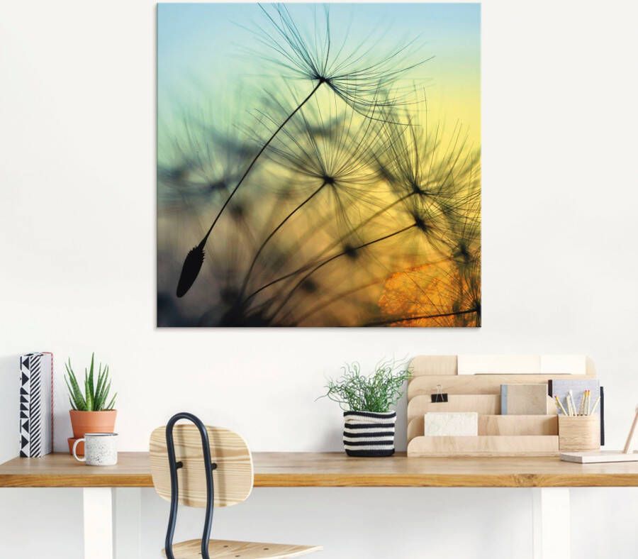 Artland Print op glas Gouden zonsondergang en paardenbloemen