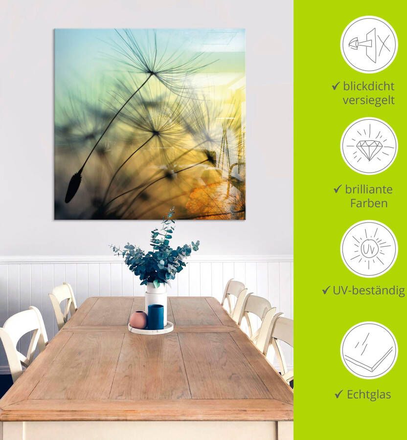 Artland Print op glas Gouden zonsondergang en paardenbloemen