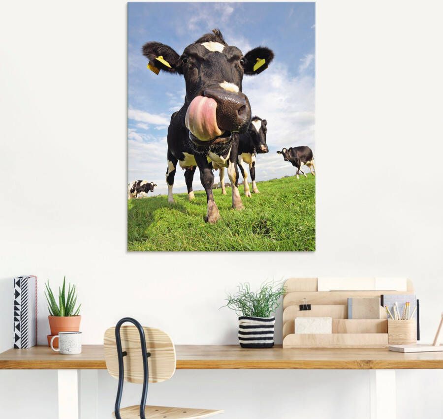 Artland Print op glas Holstein-koe met enorme tong