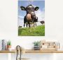Artland Print op glas Holstein-koe met enorme tong - Thumbnail 3