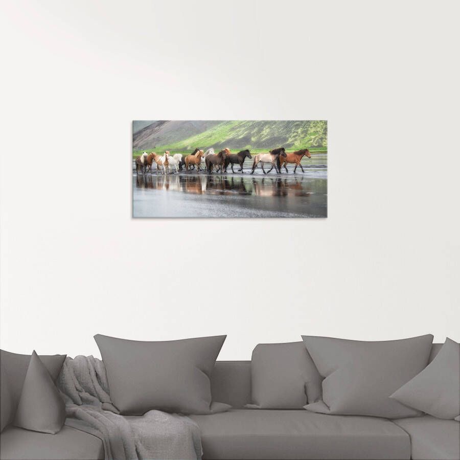 Artland Print op glas IJslandse paarden XIV in verschillende maten