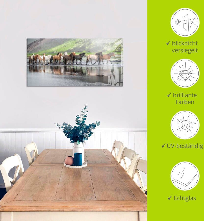Artland Print op glas IJslandse paarden XIV in verschillende maten