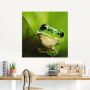 Artland Print op glas Kijkende kikker in verschillende maten - Thumbnail 3