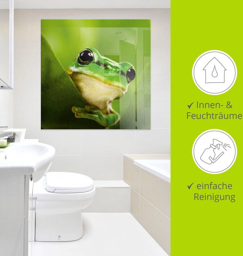Artland Print op glas Kijkende kikker in verschillende maten