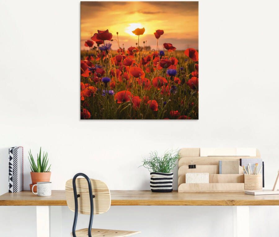 Artland Print op glas Klaprozen in het avondlicht
