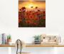 Artland Print op glas Klaprozen in het avondlicht - Thumbnail 2