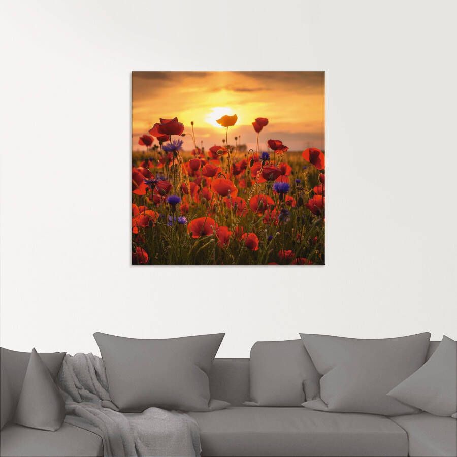 Artland Print op glas Klaprozen in het avondlicht