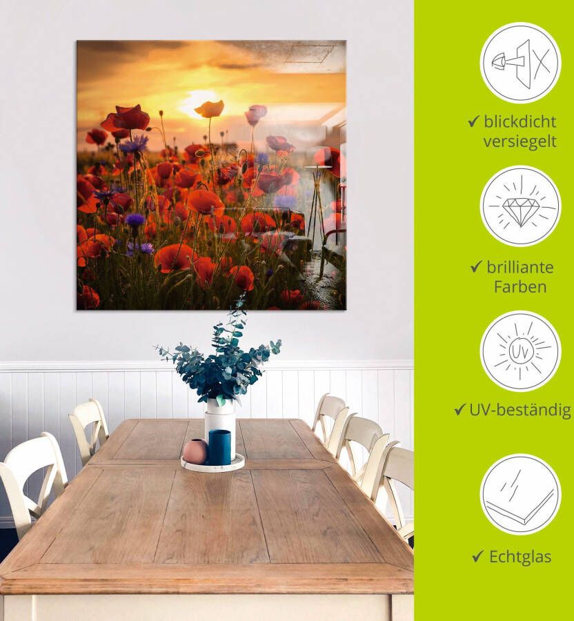 Artland Print op glas Klaprozen in het avondlicht
