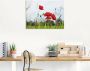 Artland Print op glas Klaprozen I in verschillende maten - Thumbnail 2