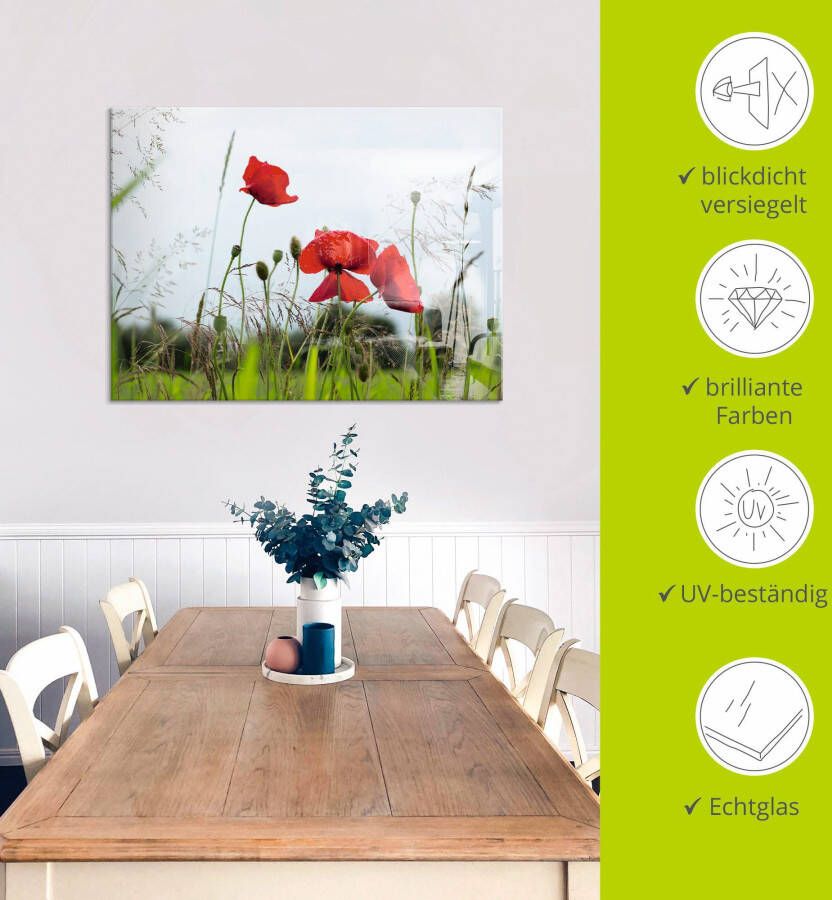 Artland Print op glas Klaprozen I in verschillende maten