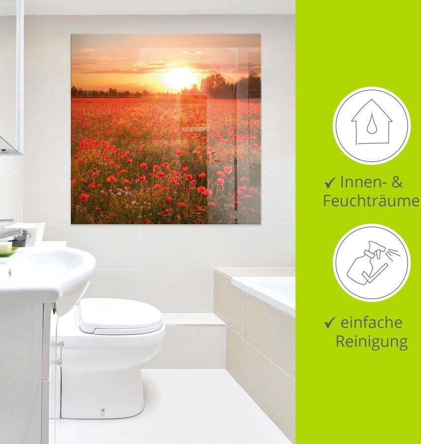 Artland Print op glas Klaprozenveld bij zonsondergang