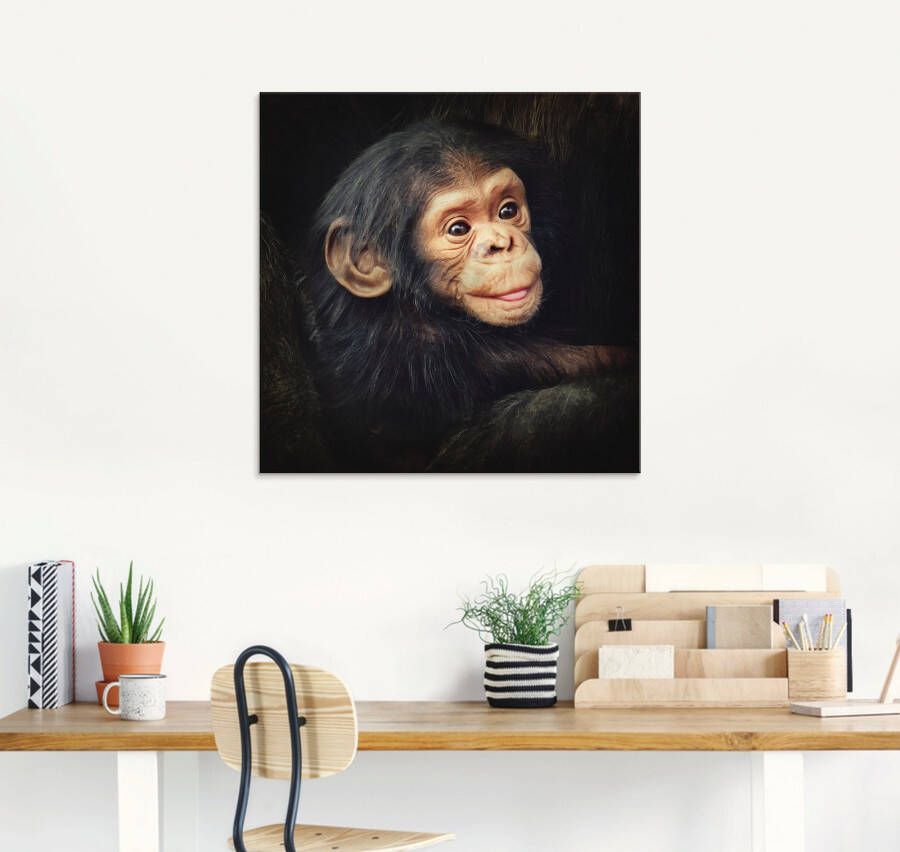 Artland Print op glas Kleine chimpansee in verschillende maten