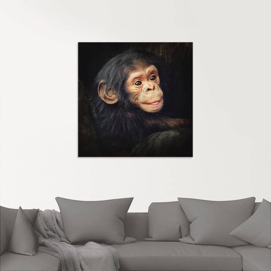 Artland Print op glas Kleine chimpansee in verschillende maten