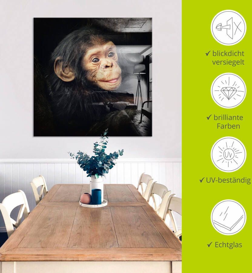 Artland Print op glas Kleine chimpansee in verschillende maten