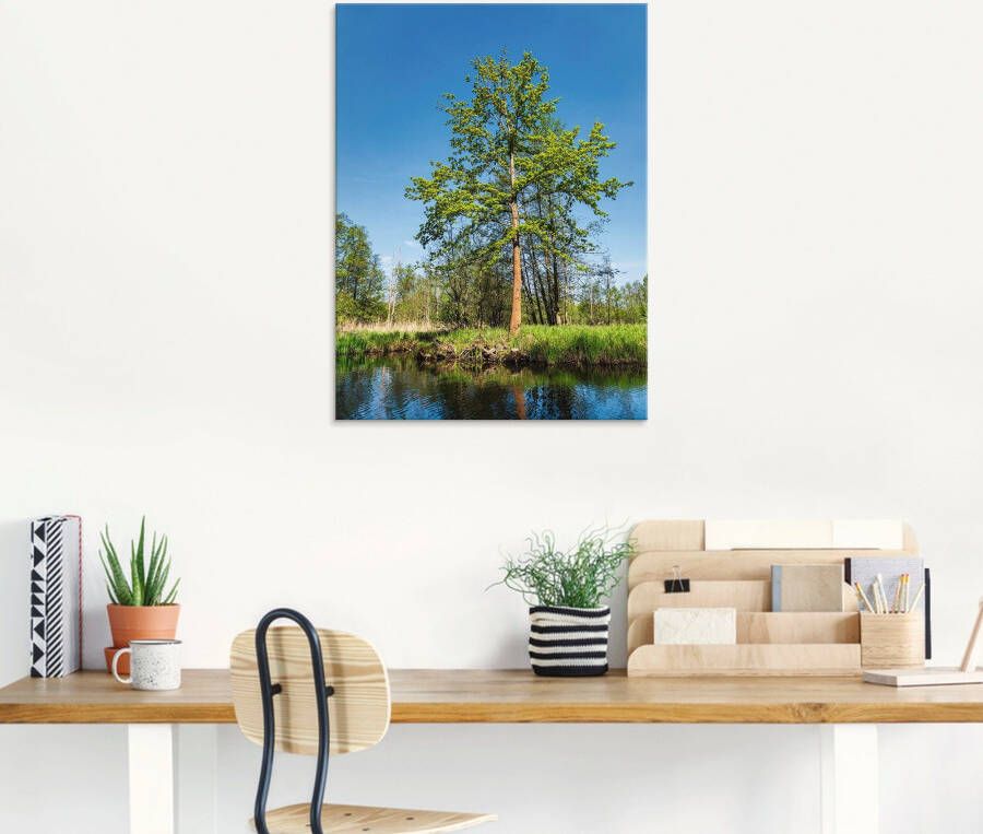 Artland Print op glas Landschap in Spreewald bij Lübbenau in verschillende maten