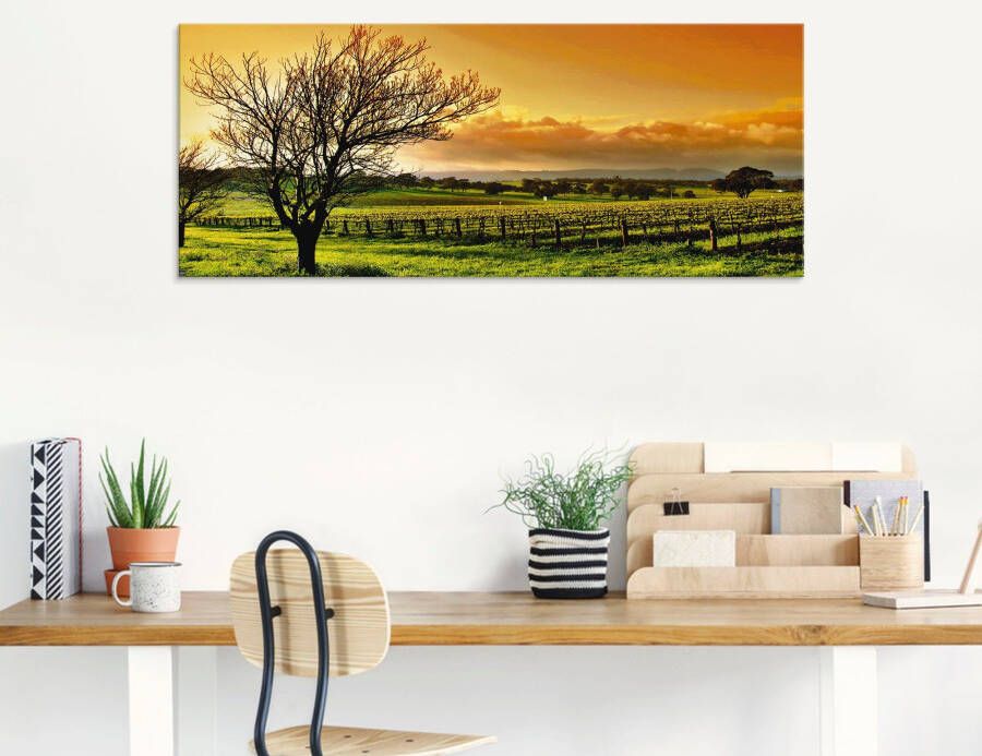 Artland Print op glas Landschap met wijnbergen