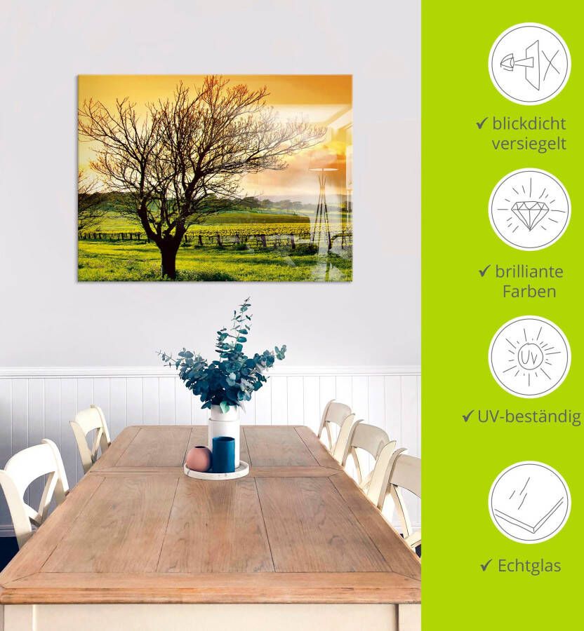 Artland Print op glas Landschap met wijnbergen