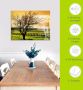 Artland Print op glas Landschap met wijnbergen - Thumbnail 5