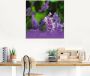 Artland Print op glas Lavendel in verschillende maten - Thumbnail 2