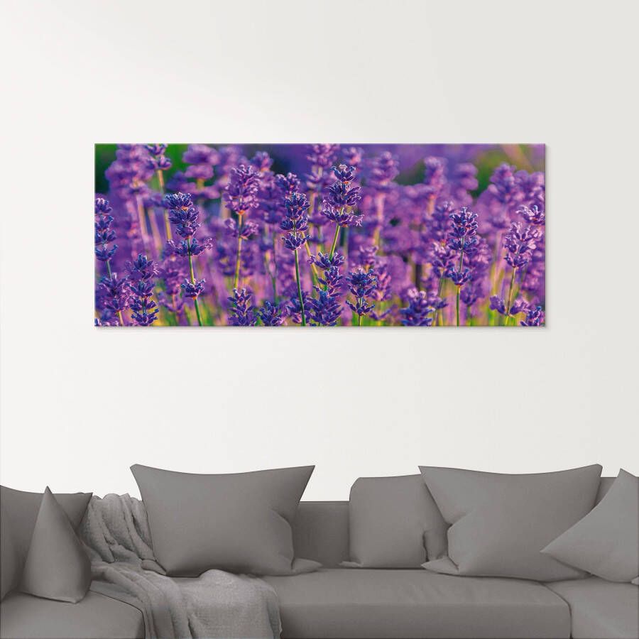 Artland Print op glas Lavendelveld in Tihany Hongarije