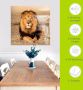Artland Print op glas Leeuw - Thumbnail 4
