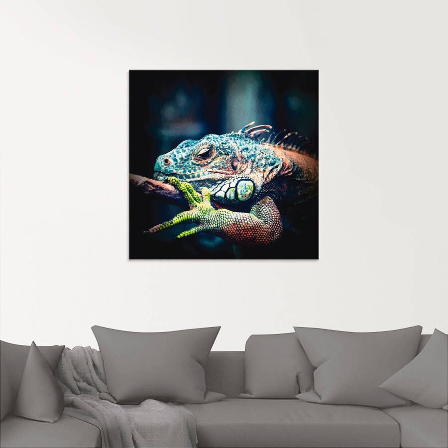 Artland Print op glas Leguaan in verschillende maten