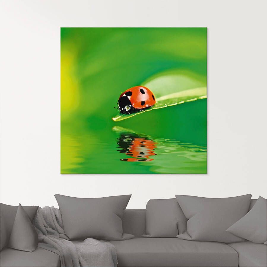 Artland Print op glas Lieveheersbeestje op een blad
